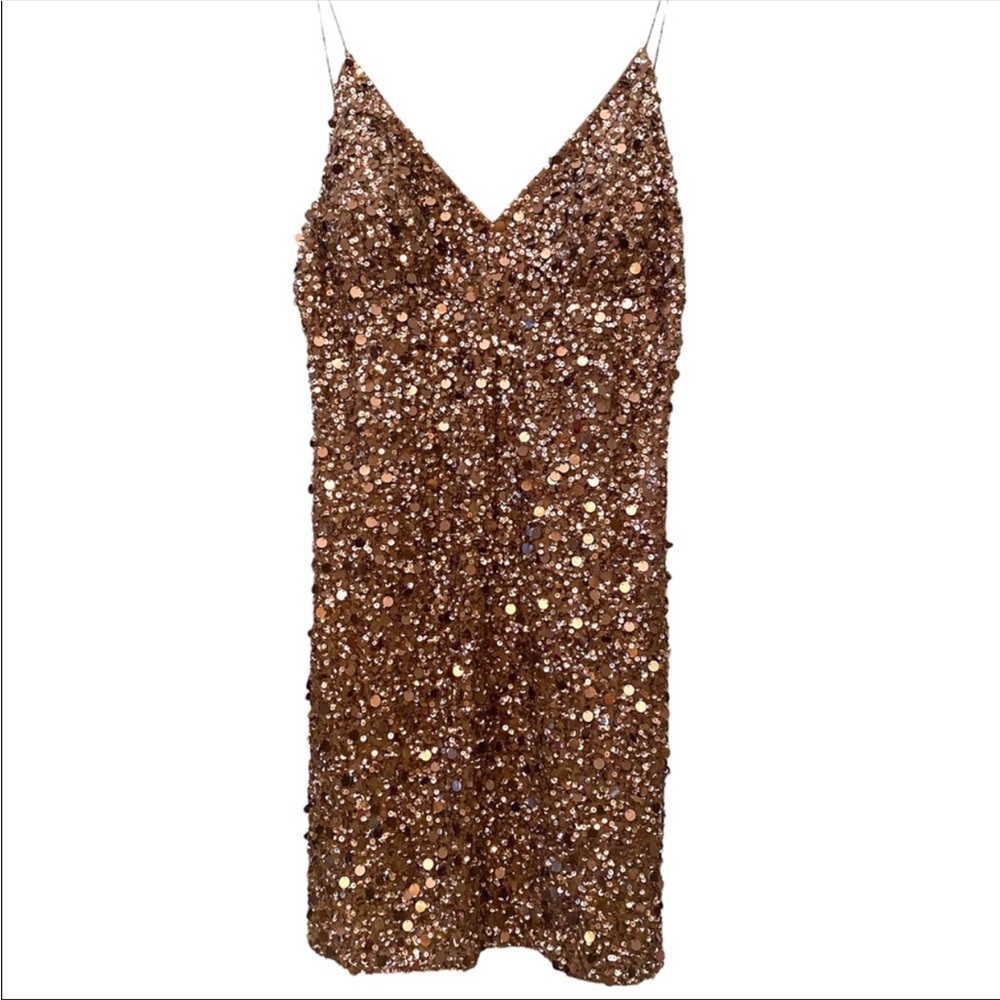 Adrianna Papell for Live From the Red Carpet sequin dress